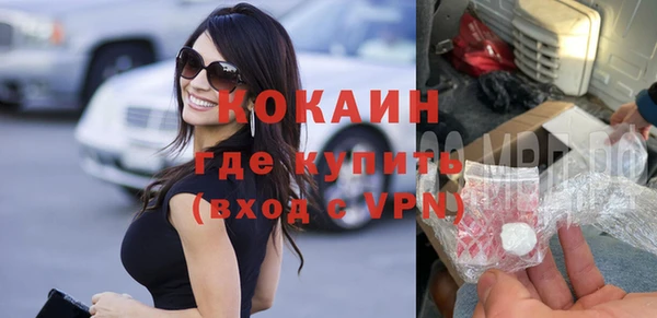 гидра Вяземский