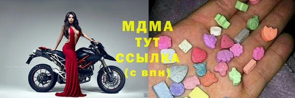 гидра Вяземский