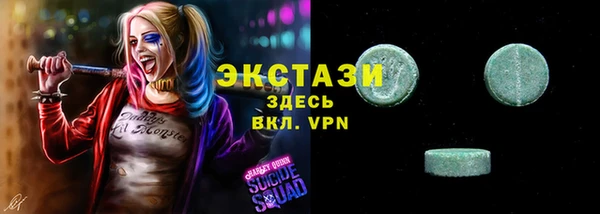 гидра Вяземский