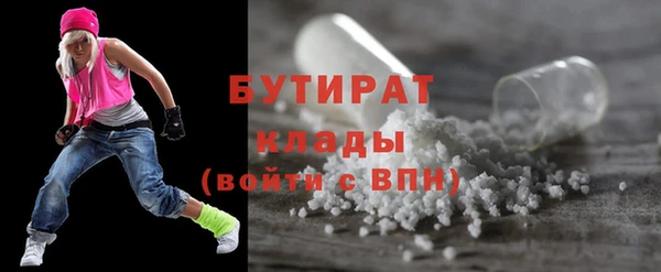 гидра Вяземский