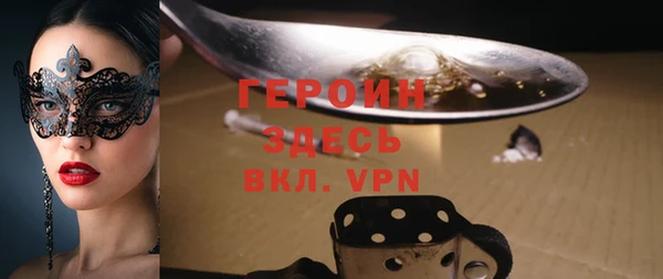 гидра Вяземский