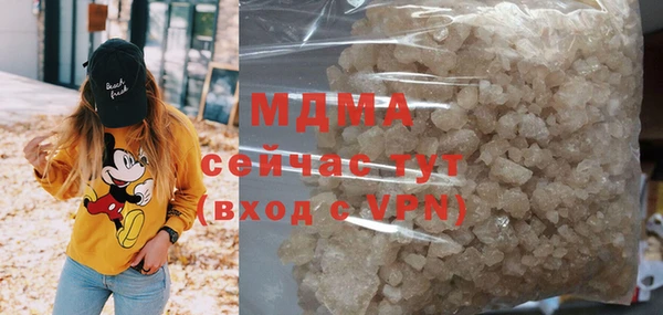 гидра Вяземский
