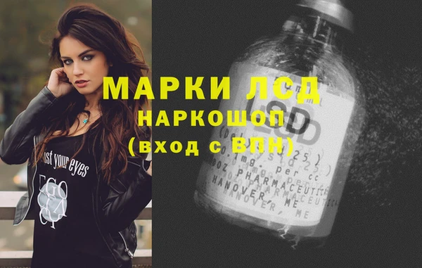 гидра Вяземский