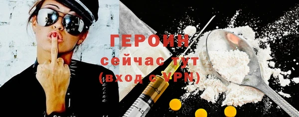гидра Вяземский