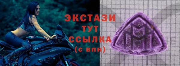 гидра Вяземский
