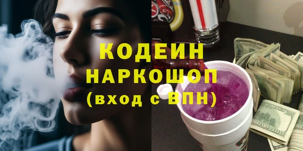 гидра Вяземский