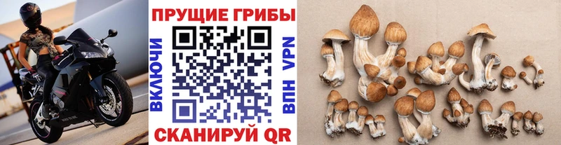 Галлюциногенные грибы ЛСД  Купить где  Ижевск 